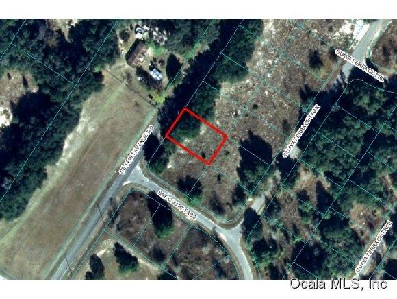 00 SE 141 Avenue Road, Ocklawaha, FL 32179