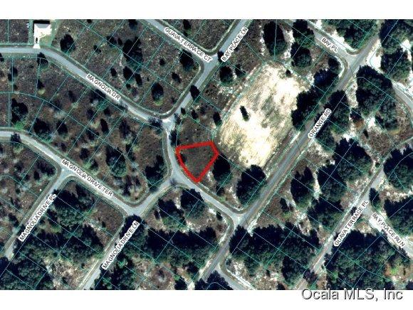 00 Bay Place Lane, Ocklawaha, FL 32179