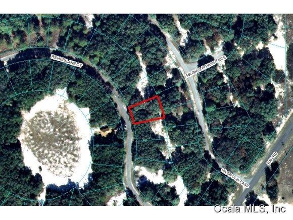 00 Fisher Lane Court, Ocklawaha, FL 32179