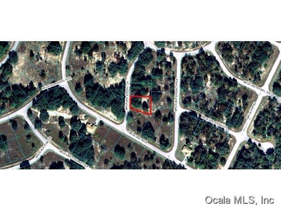00 Malauka Radial Lane, Ocklawaha, FL 32179