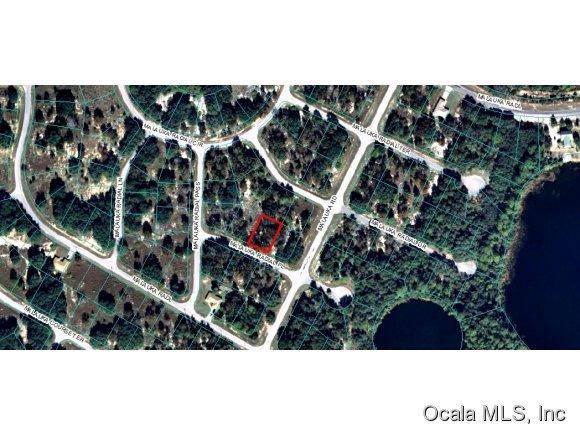 00 Malauka Radial Place, Ocklawaha, FL 32179