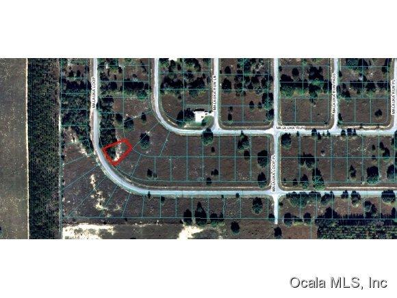 00 Malauka Loop, Ocklawaha, FL 32179