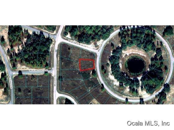 00 Malauka Circle, Ocklawaha, FL 32179
