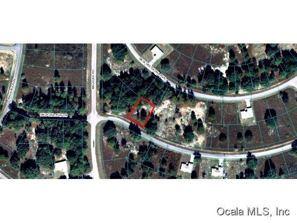 00 Malauka Run Drive, Ocklawaha, FL 32179
