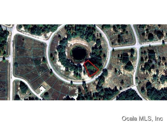 00 Malauka Circle, Ocklawaha, FL 32179