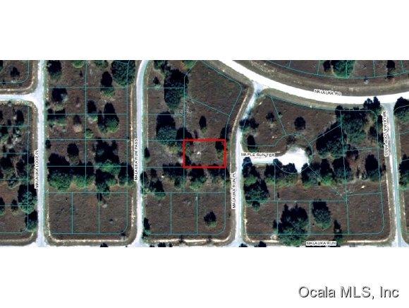 00 Malauka Run Place, Ocklawaha, FL 32179