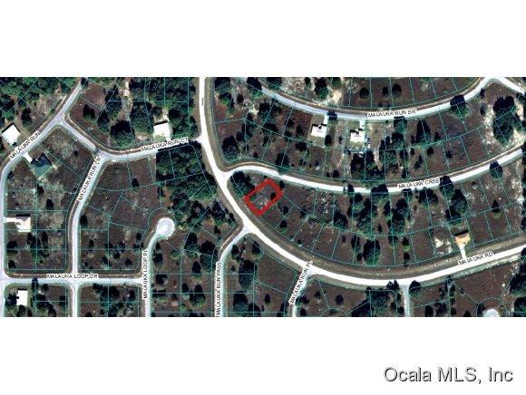 00 Malauka Road, Ocklawaha, FL 32179