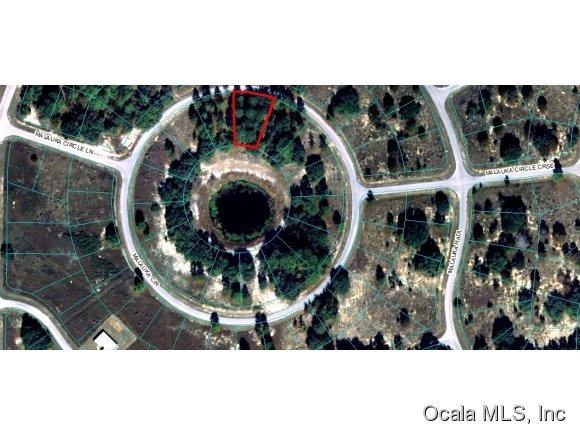 00 Malauka Circle, Ocklawaha, FL 32179