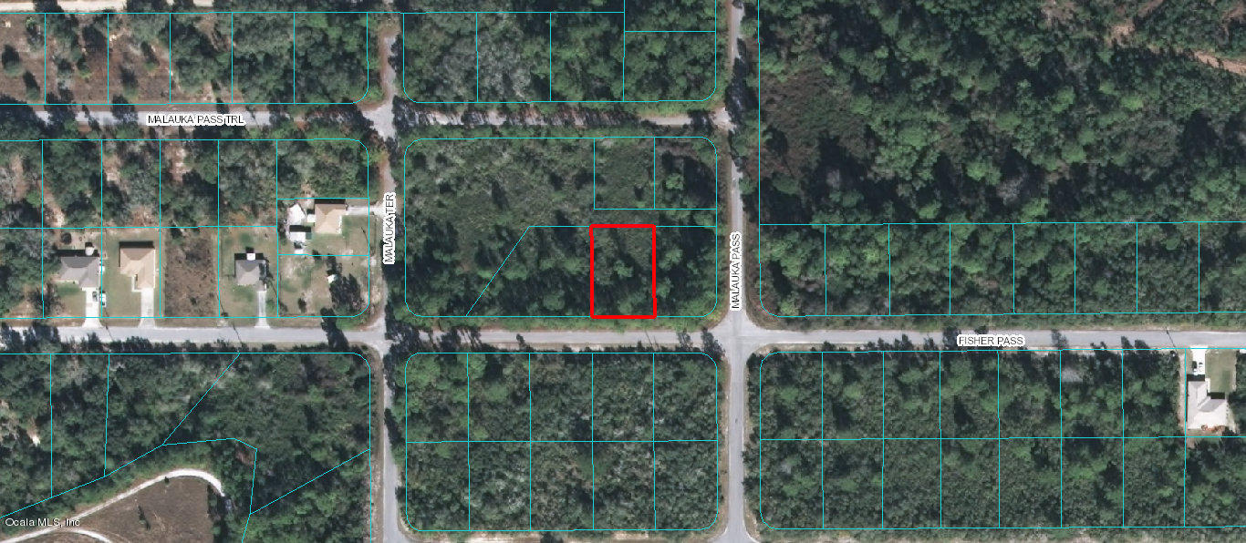 00 FISHER Pass, Ocklawaha, FL 32179