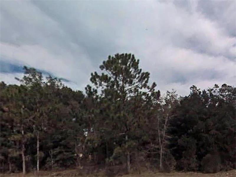 Lot 20 SEQUOIA LOOP LANE, Ocklawaha, FL 32179