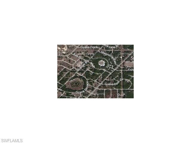 SE Guava Pass CT, Ocklawaha, FL 32179