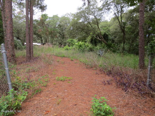 5686 SE 184TH, Ocklawaha, FL 32179