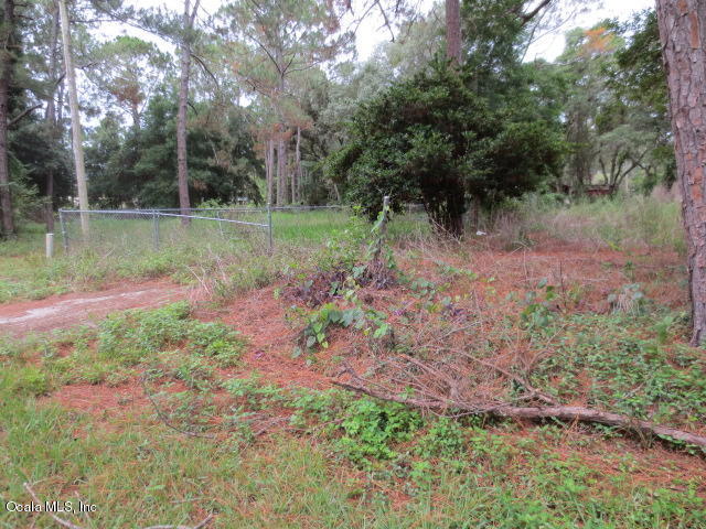 5686 SE 184TH, Ocklawaha, FL 32179