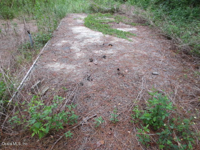 5686 SE 184TH, Ocklawaha, FL 32179