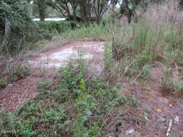 5686 SE 184TH, Ocklawaha, FL 32179