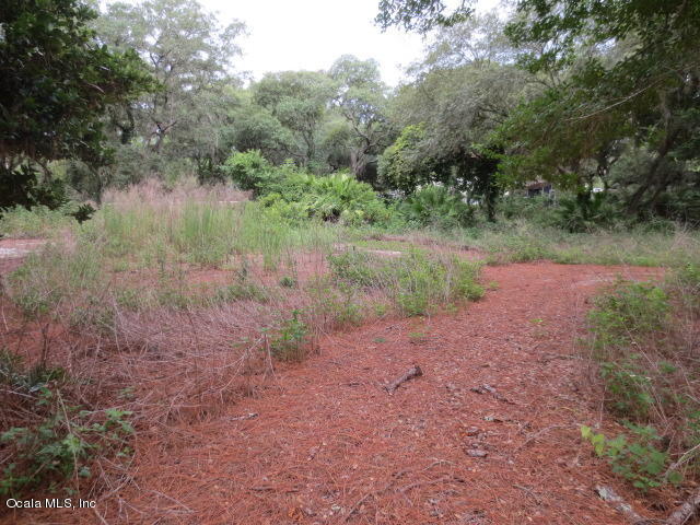 5686 SE 184TH, Ocklawaha, FL 32179