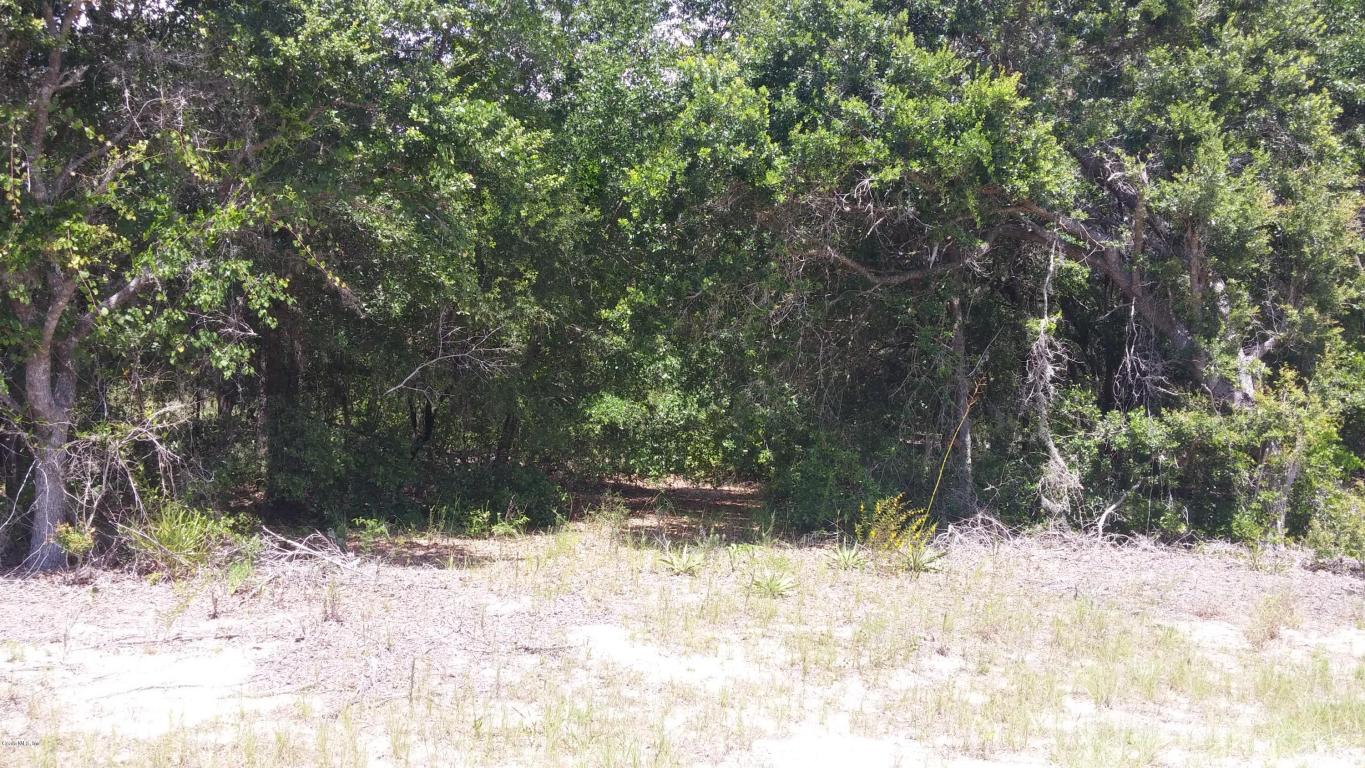 0 SE 160TH COURT Road, Ocklawaha, FL 32179