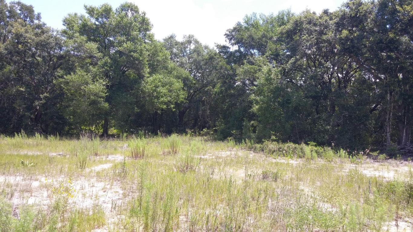 0 SE 160TH COURT Road, Ocklawaha, FL 32179