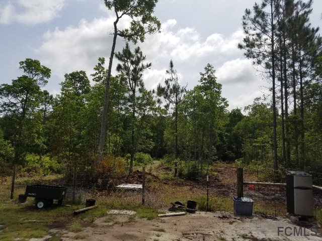 00 Still Rd, Pierson, FL 32180