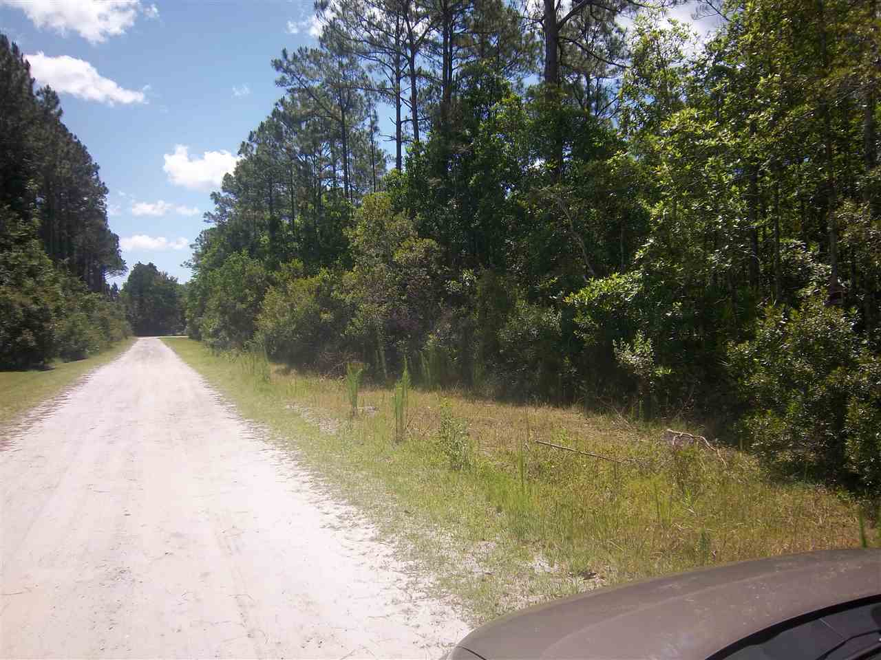 0 Palmetto Pointe Ln, San Mateo, FL 32187