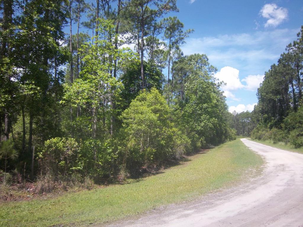 0 PALMETTO POINTE LN, San Mateo, FL 32187