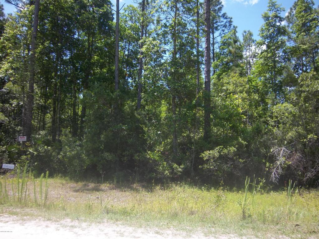 0 PALMETTO POINTE LN, San Mateo, FL 32187