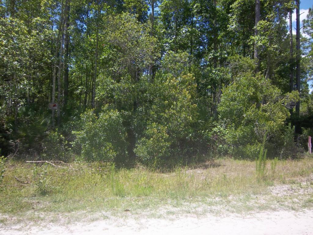 0 PALMETTO POINTE LN, San Mateo, FL 32187