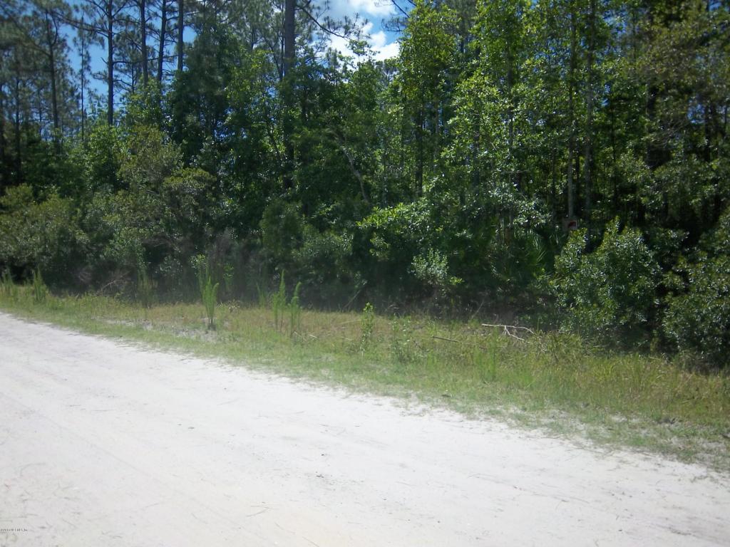0 PALMETTO POINTE LN, San Mateo, FL 32187