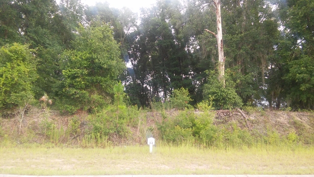 632 Woodlawn Drive, Welaka, FL 32193