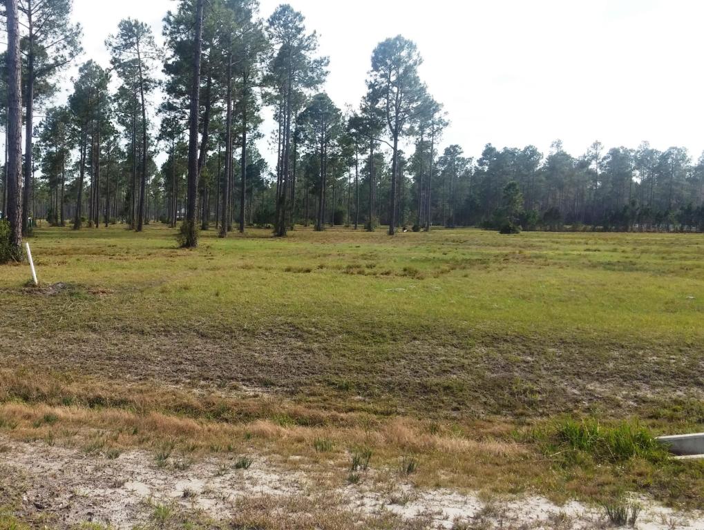 10136 HUNTERS CHASE CT, Jacksonville, FL 32219