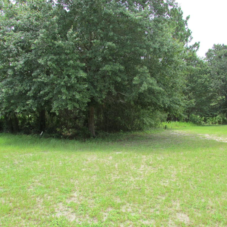 9033 COUNTRY MILL LN, Jacksonville, FL 32222