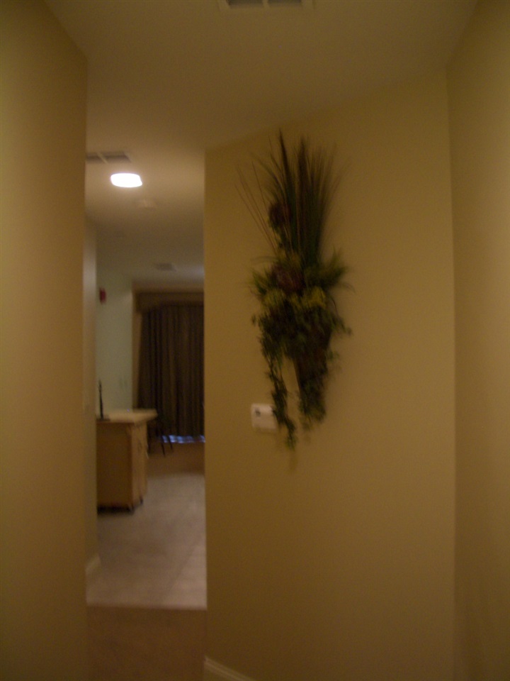 215 W College Avenue Unit 408, Tallahassee, FL 32301