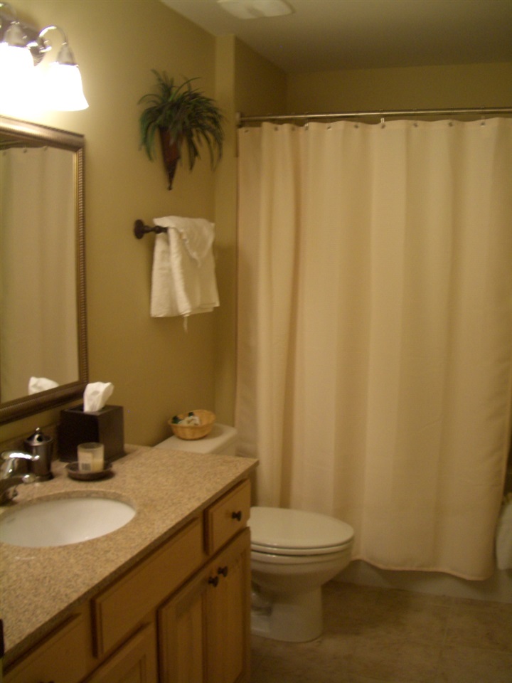 215 W College Avenue Unit 408, Tallahassee, FL 32301