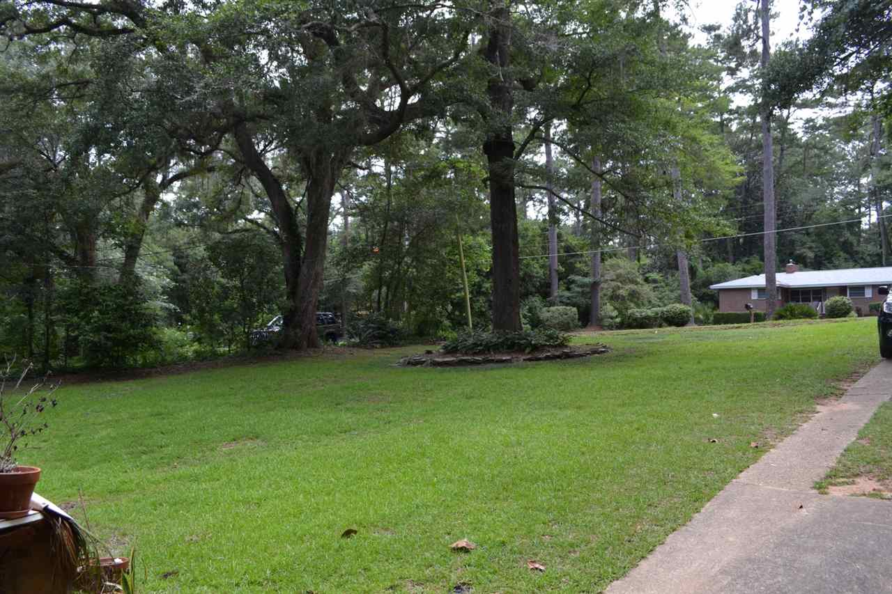 2013 ATAPHA NENE, Tallahassee, FL 32301