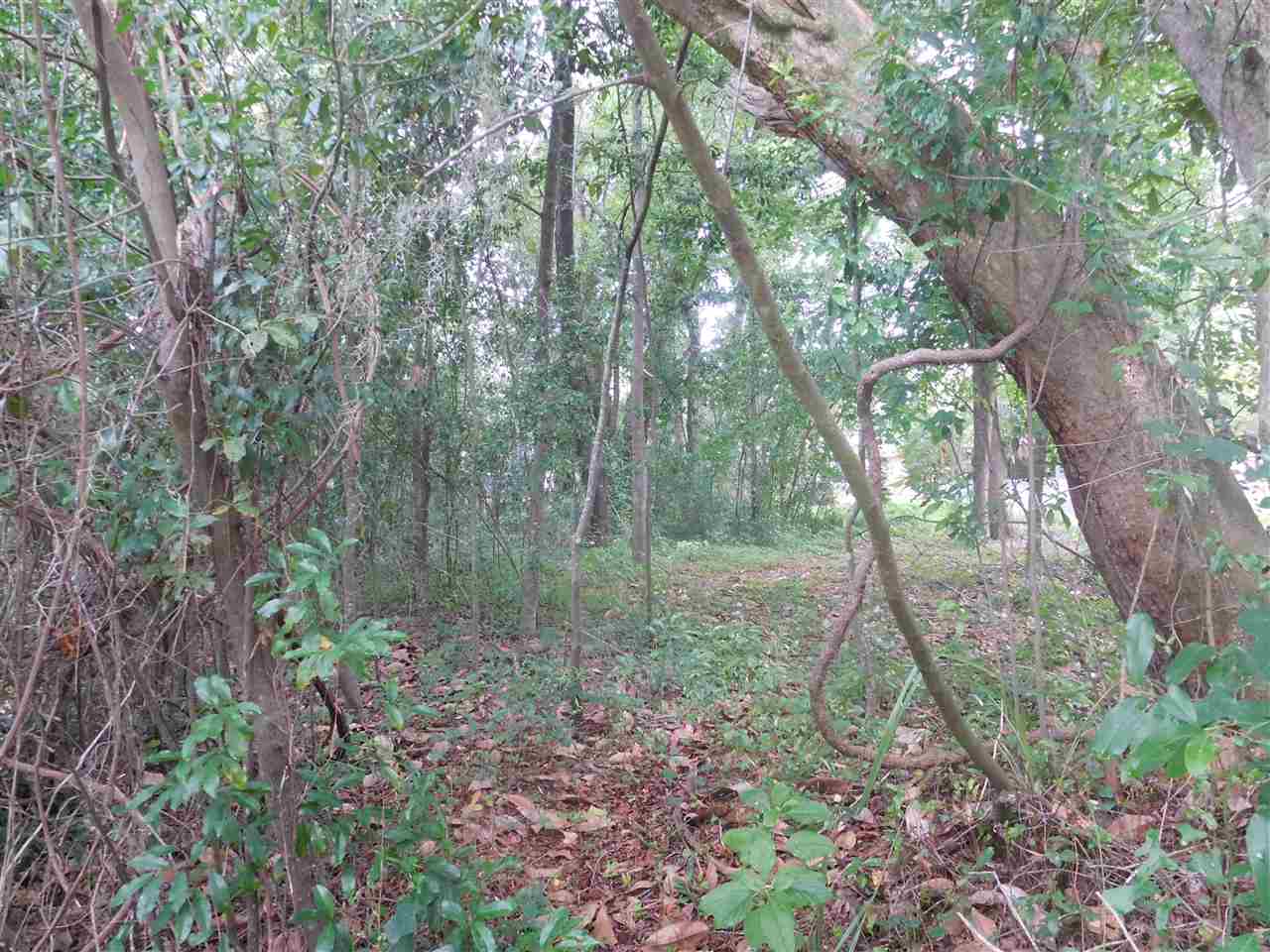 2504 Arthurs Ct, Tallahassee, FL 32301
