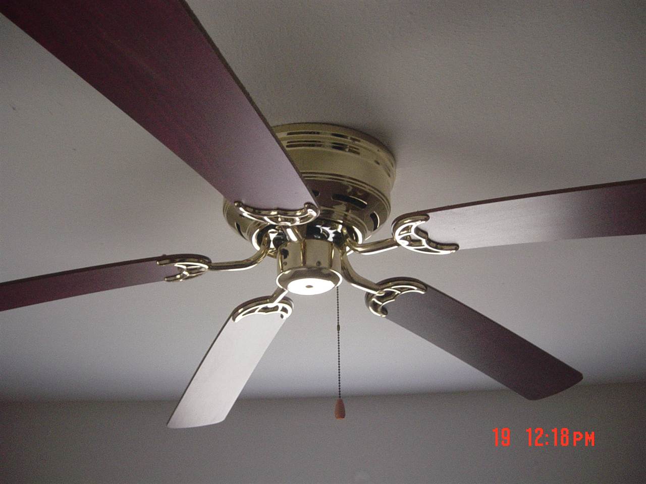 732 Coble, Tallahassee, FL 32301