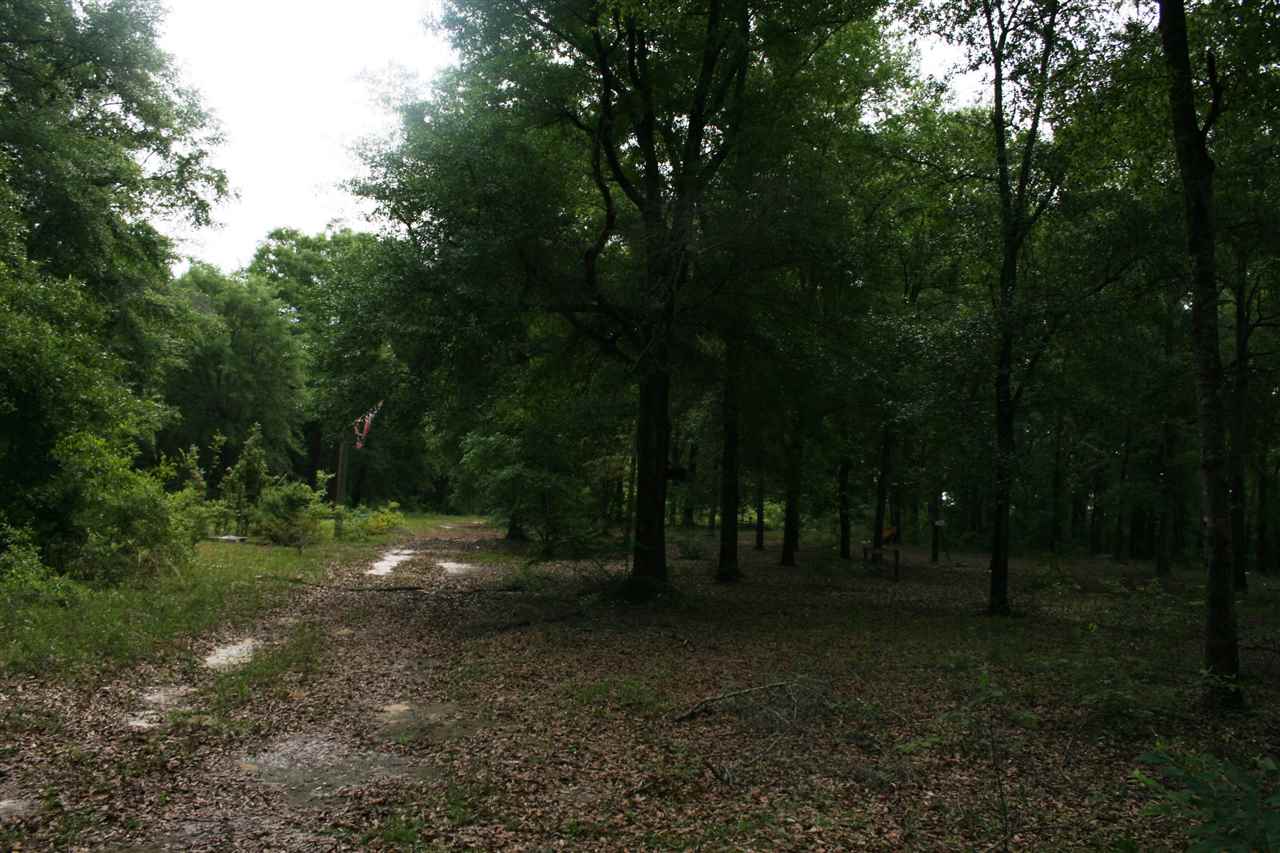 335 McKenzie, Tallahassee, FL 32301