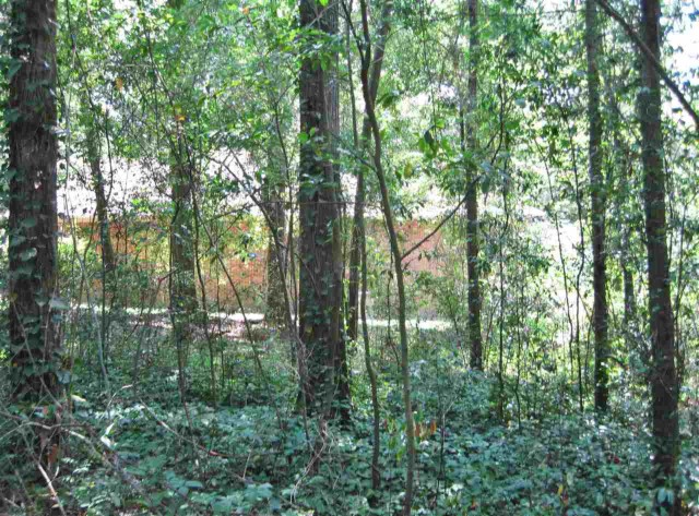 Lot 17 Annette, Tallahassee, FL 32303