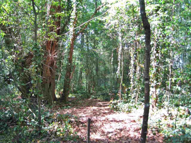 Lot 17 Annette, Tallahassee, FL 32303