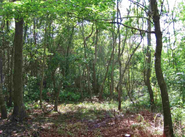 Lot 17 Annette, Tallahassee, FL 32303
