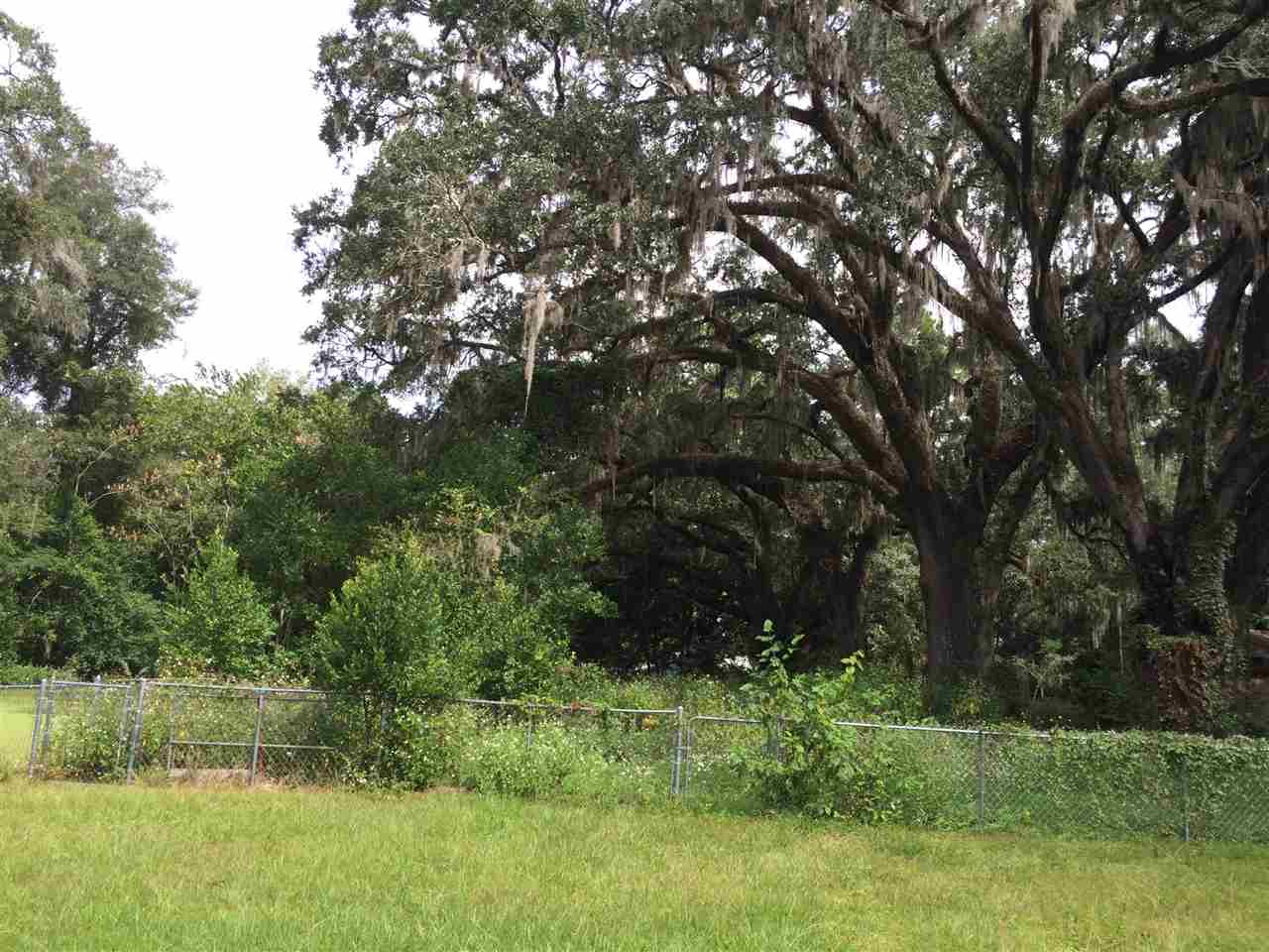 2938 Bicycle, Tallahassee, FL 32303