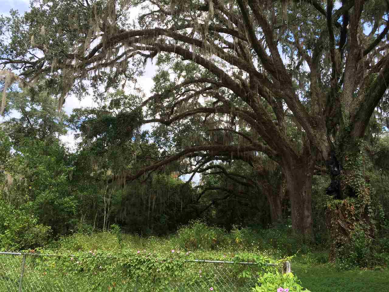 2938 Bicycle, Tallahassee, FL 32303