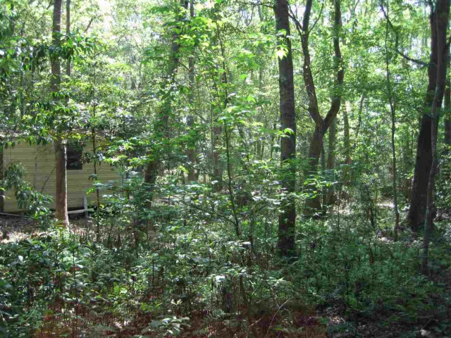 Lots 17 & 18 Annette, Tallahassee, FL 32303