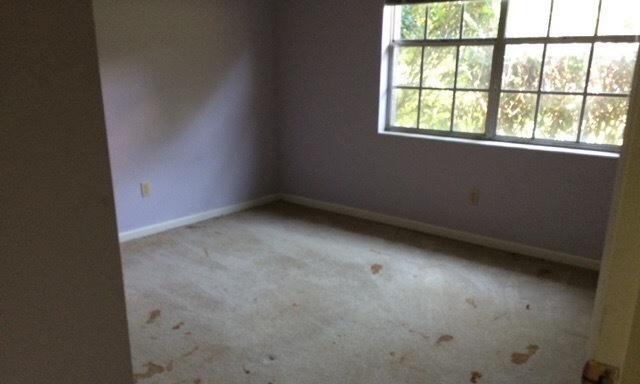 4234 Ben Blvd, Tallahassee, FL 32303