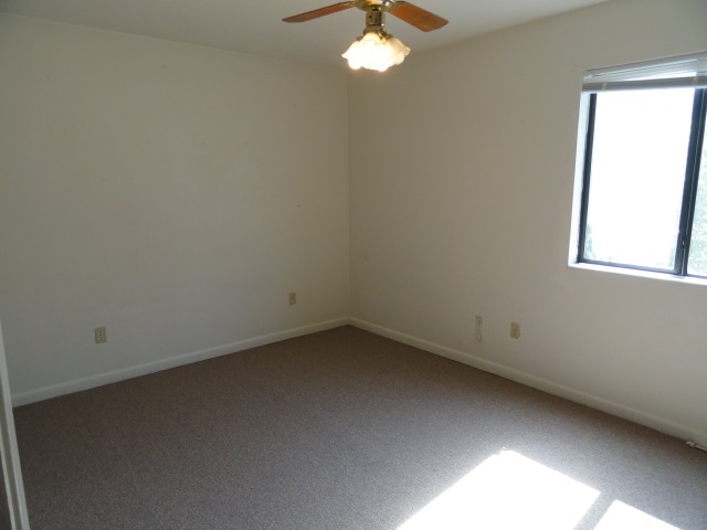 303 S Lipona Rd, Tallahassee, FL 32304