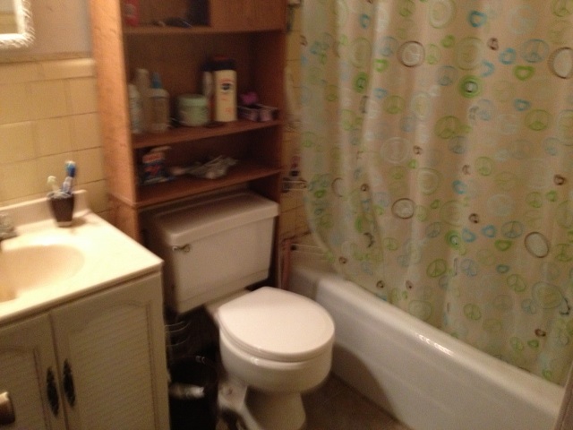 202 CACTUS, Tallahassee, FL 32304