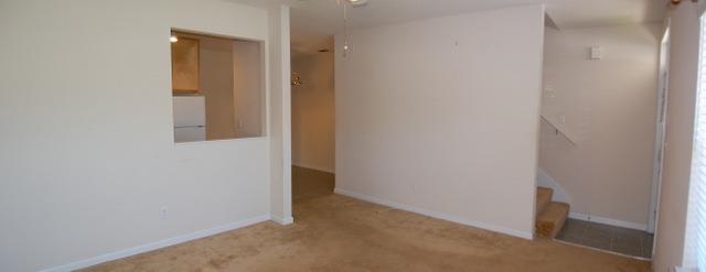 1497 Nena Hills, Tallahassee, FL 32304