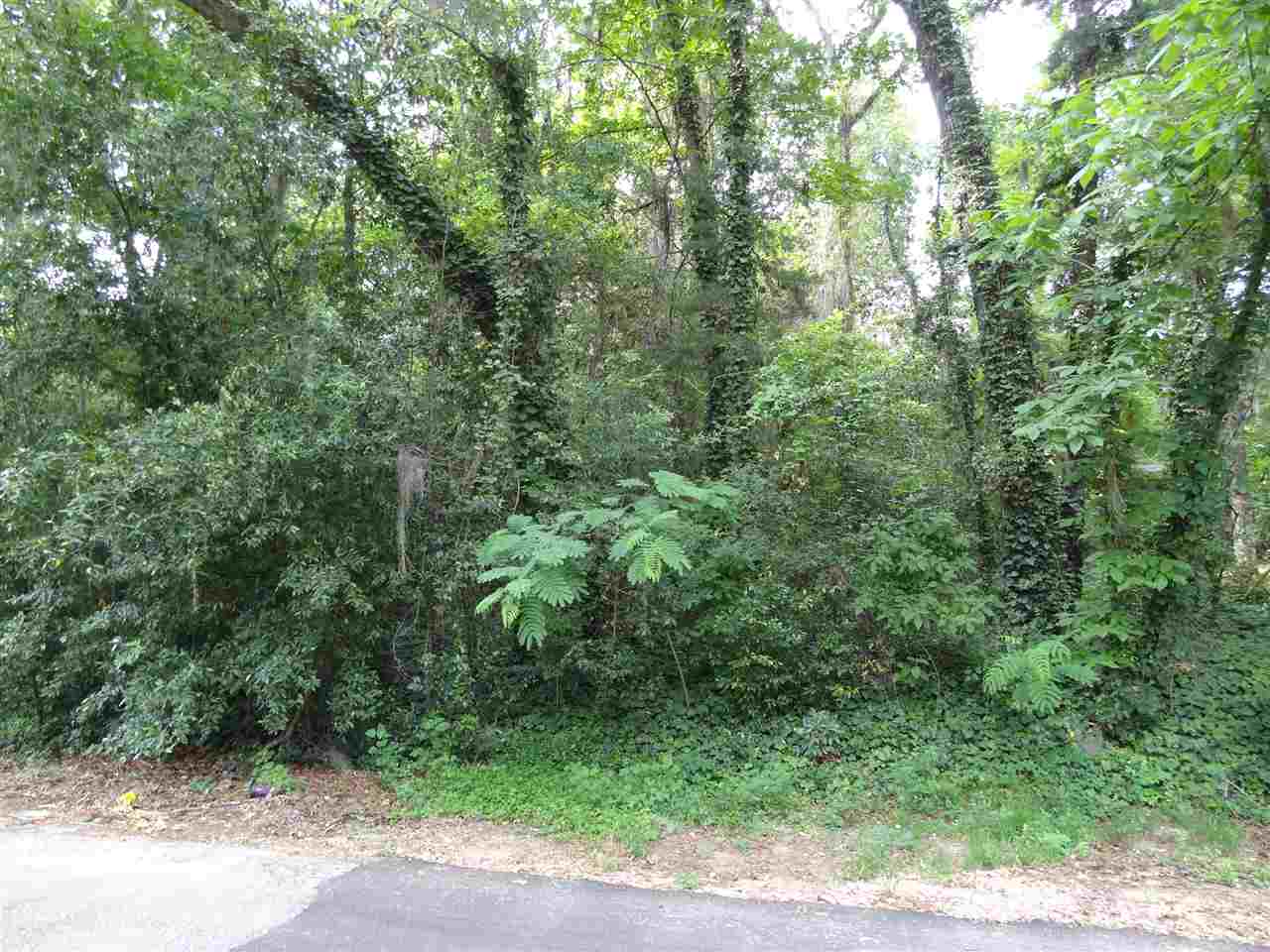 Lot 2 Mexia Ave, Tallahassee, FL 32304