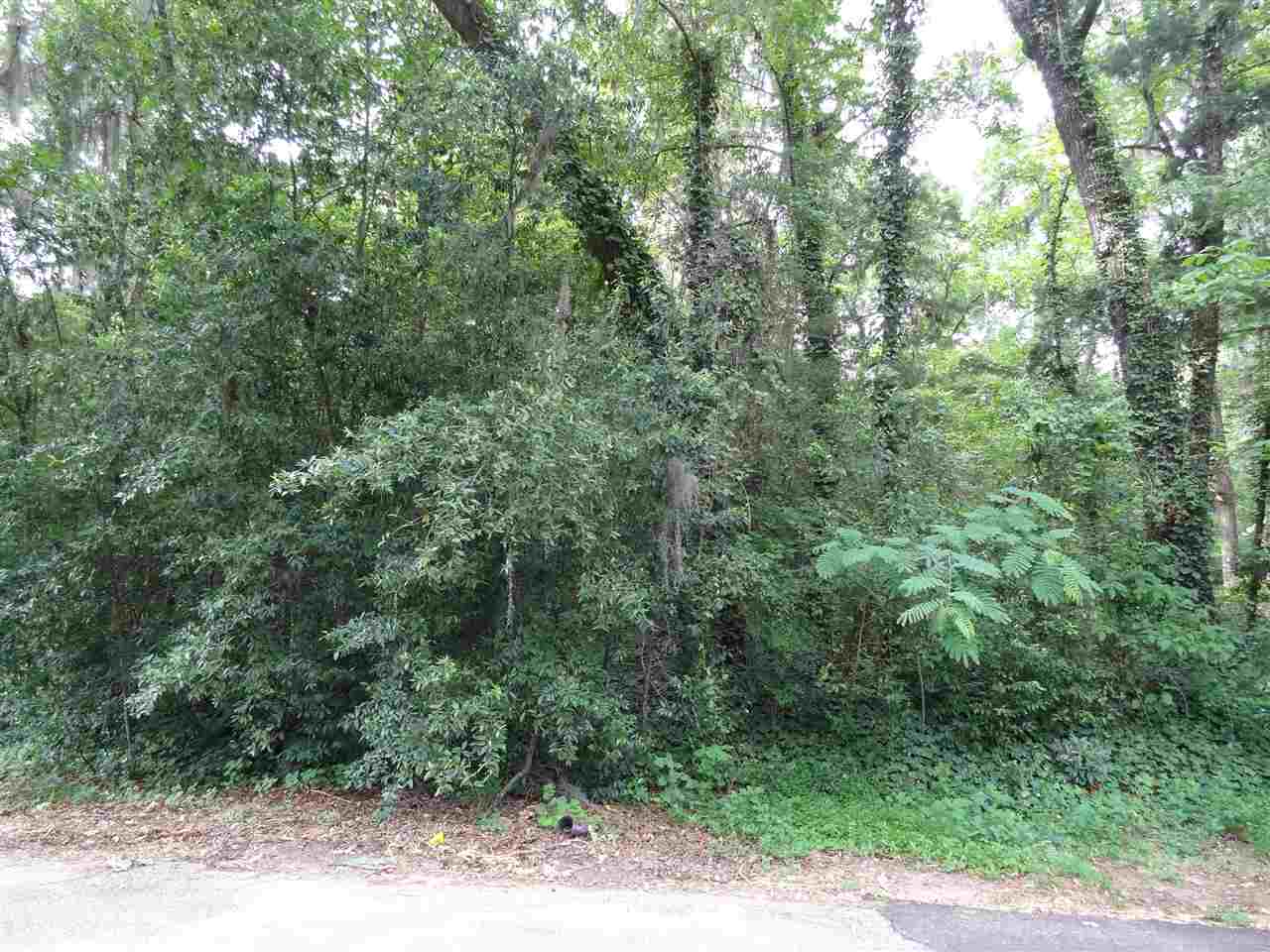 Lot 2 Mexia Ave, Tallahassee, FL 32304