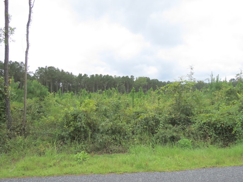 XXX Sunflower Rd, Tallahassee, FL 32305